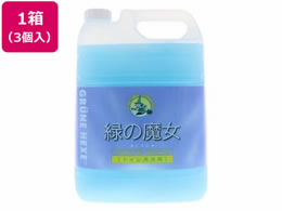 ~}XN[PA ΂̖ gCƖp 5L 3