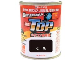 KANSAI Jy gbvK[h1.6L #00017640021016