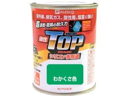 KANSAI �J���y �����g�b�v�K�[�h1.6L�킩�����F