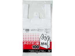 P~JWp 񂰃| M 100 SB-35