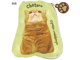 XP[^[ _CJbg|[`(Sg) YƂȂ ZDPA1