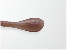 issei Xpe 4 #46 AJ}cSP