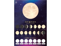 h LIMEX ~ (̖) MMY-2