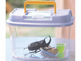 ACXI[} 烉h p[u[ SSTCY CY-SS