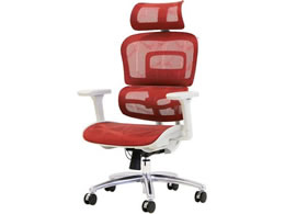 Netforce _Ci~NXPro`FA wbhXgt bh DP-1H-FW-RD