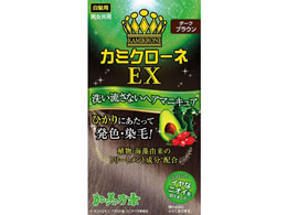 白髪用ヘアマニキュア-ヘアカラー 通販【ココデカウ（エディオン