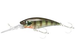 WbJ JK fB[rVbh 55SR #M