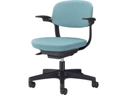 CI Gr[^ ANAu[ No.2436WF-K