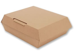 �V���W�} NF�l�I�N���t�g �����`BOX L 10�� 4248318