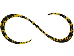 WbJ JK rrT+lN^CJ[[ #F120