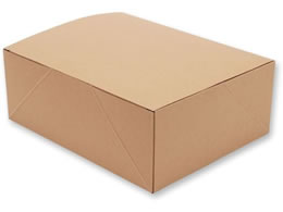 �V���W�} �l�I�N���t�g �P�[�LBOX 19�~24 20�� 4248404