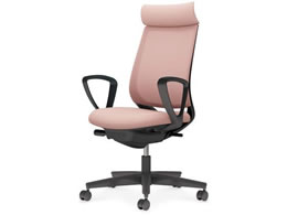 RN ~g2 bV AfBViT[NI r{̍AbVsN