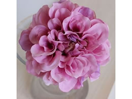 AXJ _AsbN [Y 72-31451-5