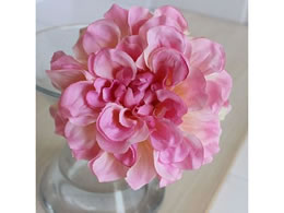 AXJ _AsbN N[sN 72-31451-3