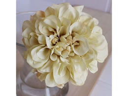 AXJ _AsbN N[zCg 72-31451-11