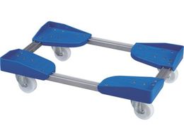 [g/[g{[C202PP^ST^Cv(dl)