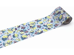 J mt casa  ԁE{^jJA[g MTCAS017