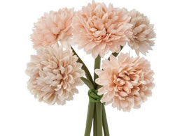 YDM {[}o` T[ FB-2471-SA