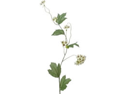 YDM ro[i zCgO[ FA7094-W G