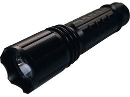 Hydrangea/ubNCg GRm~[