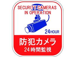 Ώ\ XebJ[W hƃJE24ԊĎ 100~90 5g