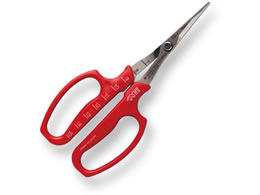 AXR[|[V ԂǂE Ȑn BP 321DX-M-BP