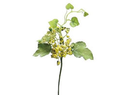 H| Z0063 ChO[vx #004 CG[