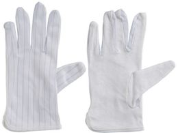 �J�X�^��/�Ód�h�~���