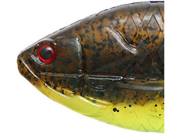 issei �M���t���b�g Jr.(�c�[�g��) #10 �O���p���^�`���[�g