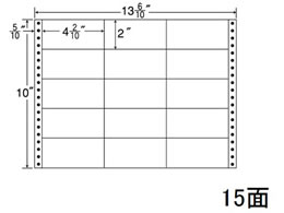 NANA iitH[ 13(6E10)~10C` 15 M13N