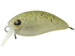 �W���b�J�� TM ���уp�j�N�� DR #�V���{�N���O���[