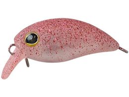 �W���b�J�� TM ���уp�j�N�� DR #�V���{�N�����b�h�u���[