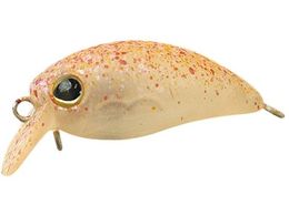 �W���b�J�� TM ���уp�j�N�� DR #�^�b�L�[�O���[