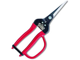 AXR[|[V EʃGLXgOK[ht 300LL-G-BP