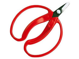 AXR[|[V ݂̎  ܓ 410