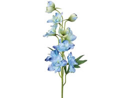  TUftBjE Cgu[ #5 LTBL FM002074-005