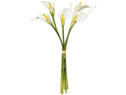  }[J[oh zCgO[ #1 WH GR