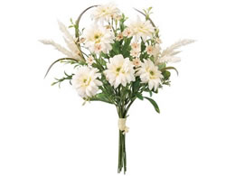  K[xppXu[P N[ #37 CREAM