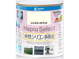 JynsI nsIZNg WX~zCg 0.7L