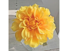  vC_AsbN YELLOW FM000414-004