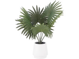 sf tFCNO[ pi}\E Z~bN|bg 41129