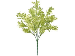   ~j{bNXEbhubV CgO[ #23 LTGR