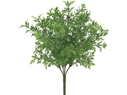  eB[[tubV GREEN O[ FG009990