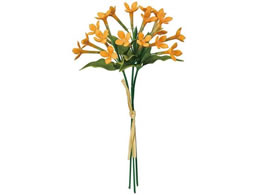   T[uoAu[P CgIW #9 LTOR