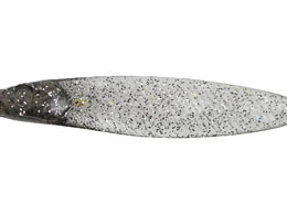 issei ���C�A�~�m�[�t���b�g�T�J�i�T�J�i 3.8 #06 �x�r�[�V���C�i�[(�t��)