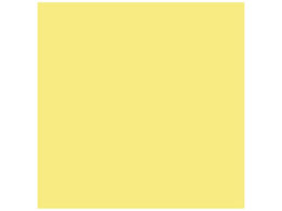 X}[go[ PF肪 N[ 100 B260J-2