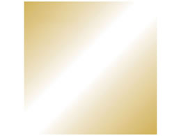 X}[go[ PF肪 F 100 B261J-25