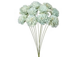  hCt[ \[[[YE yp[~g 10{