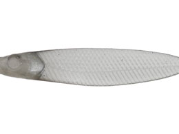 issei ���C�A�~�m�[�t���b�g�T�J�i�T�J�i 3.8 #64 AK�X���[�N