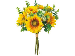   vGTt[u[P GOLD.YEL S-hCG[